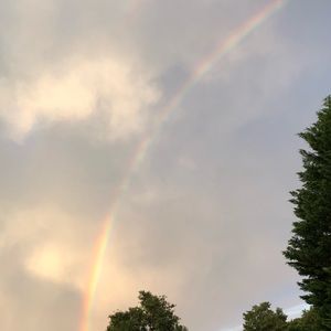 Meet your Posher, Hayley